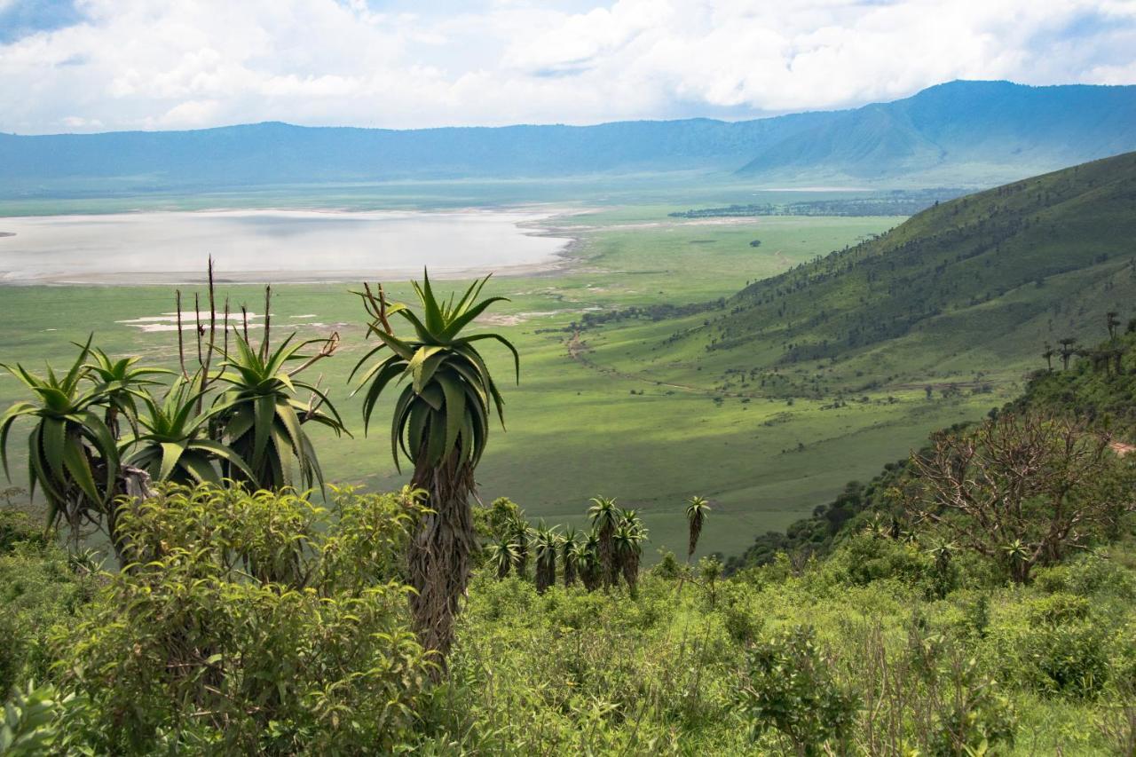 Africa Safari South Serengeti Ndutu Ngorongoro Sinoni Exteriér fotografie