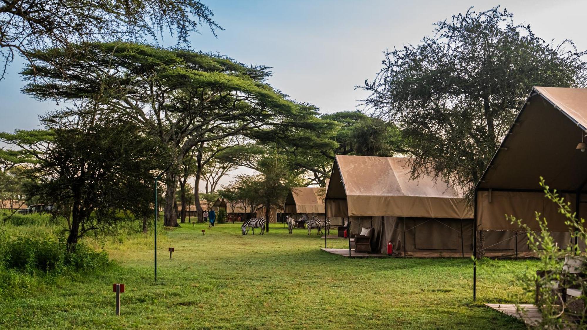 Africa Safari South Serengeti Ndutu Ngorongoro Sinoni Exteriér fotografie