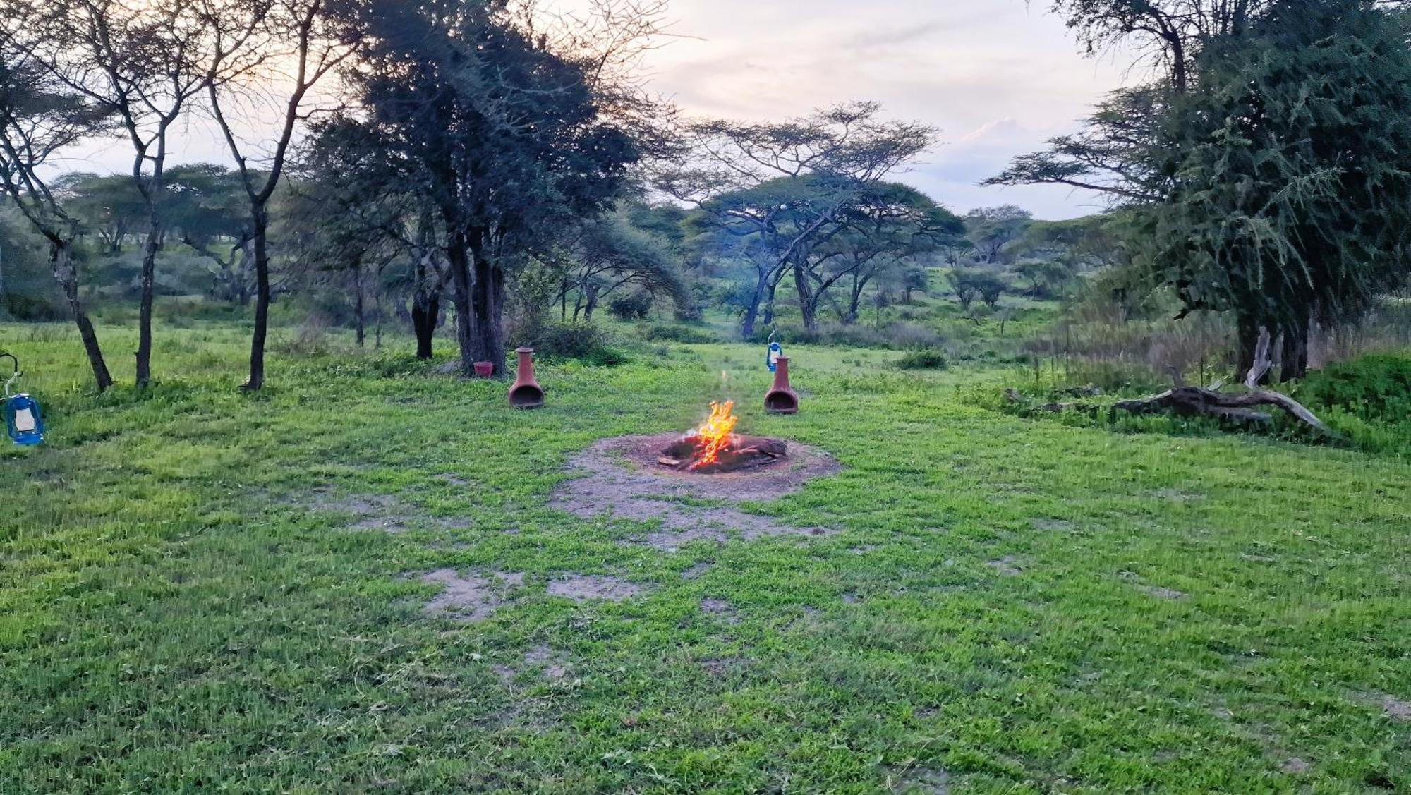 Africa Safari South Serengeti Ndutu Ngorongoro Sinoni Exteriér fotografie