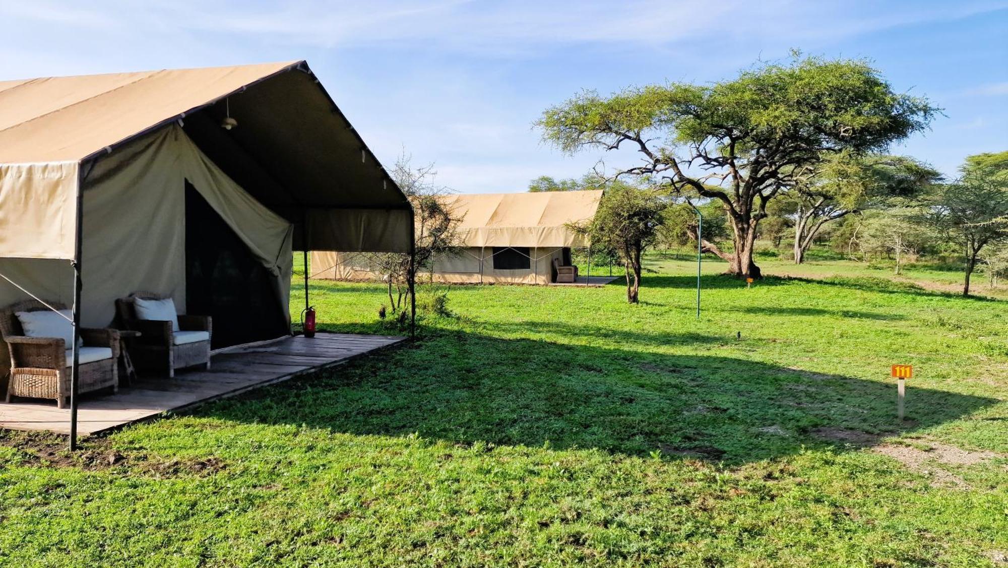 Africa Safari South Serengeti Ndutu Ngorongoro Sinoni Exteriér fotografie