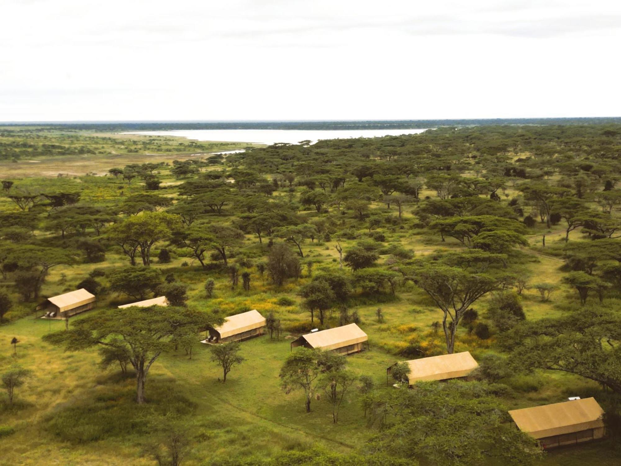 Africa Safari South Serengeti Ndutu Ngorongoro Sinoni Exteriér fotografie