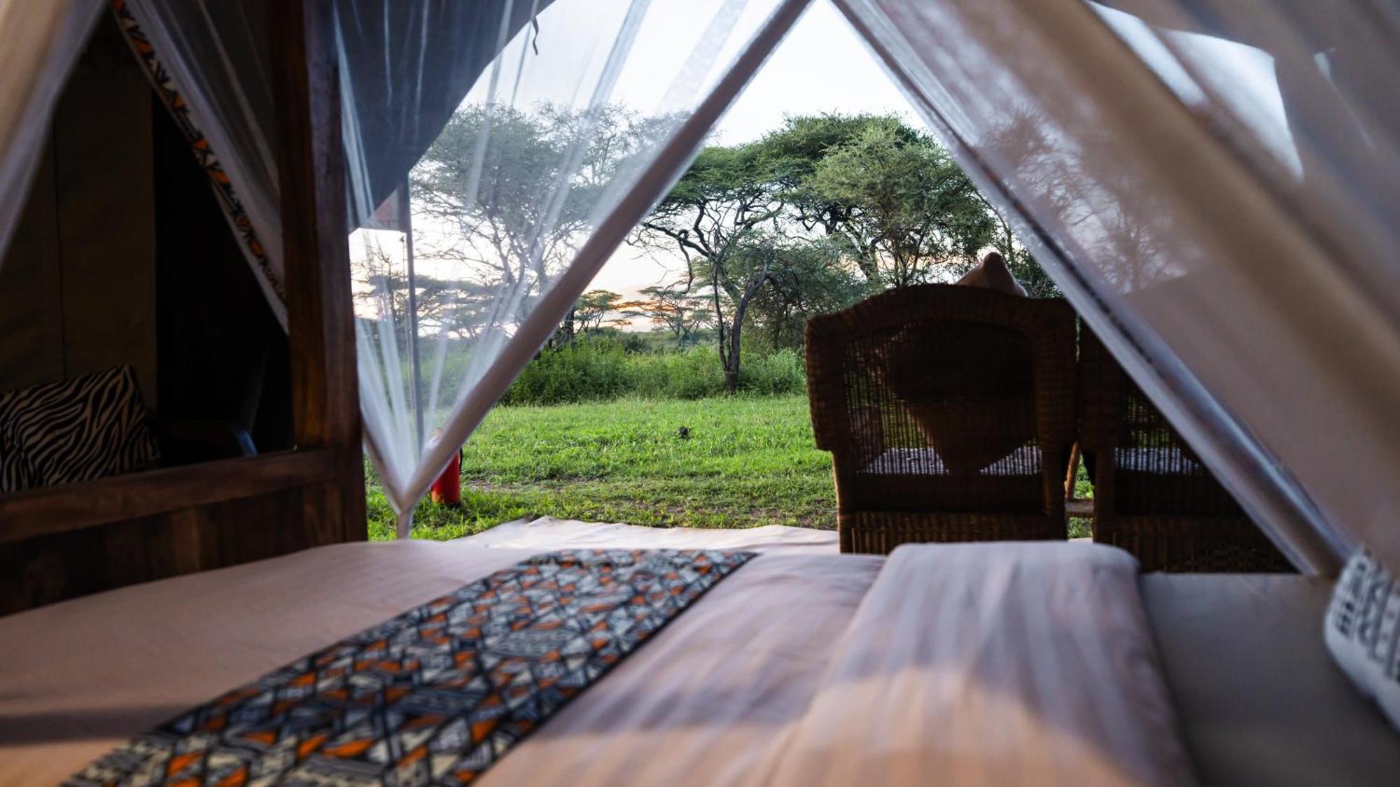 Africa Safari South Serengeti Ndutu Ngorongoro Sinoni Exteriér fotografie